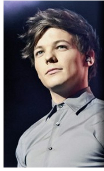 1 Direction Louis Facts