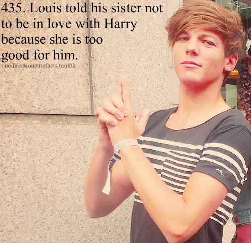 1 Direction Louis Facts