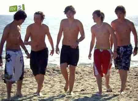 1 Direction Louis Shirtless