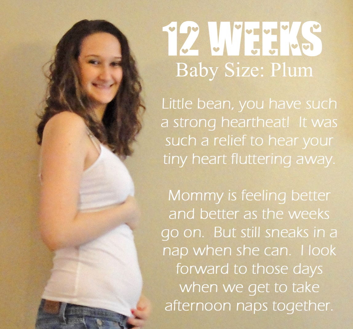 12 Weeks Pregnant Belly Size