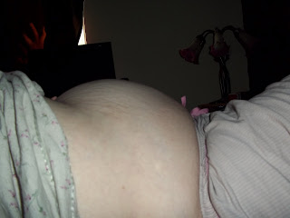 16 Weeks Pregnant Belly Twins