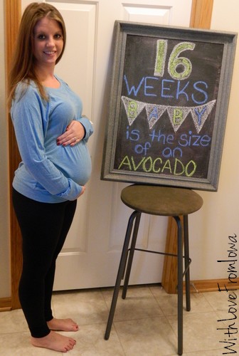 16 Weeks Pregnant Bump Size