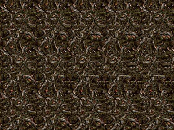 3d Stereogram Pictures