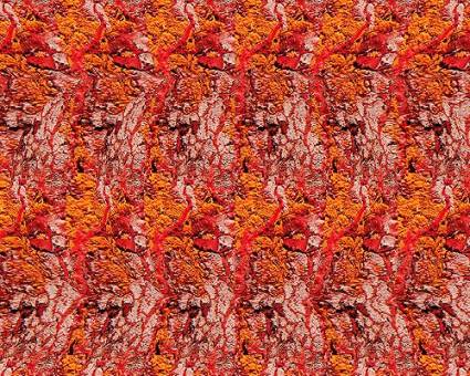 3d Stereogram Pictures