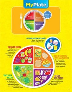 4 Food Groups Chart