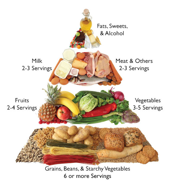 4 Food Groups Pyramid