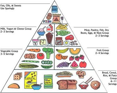 4 Food Groups Pyramid