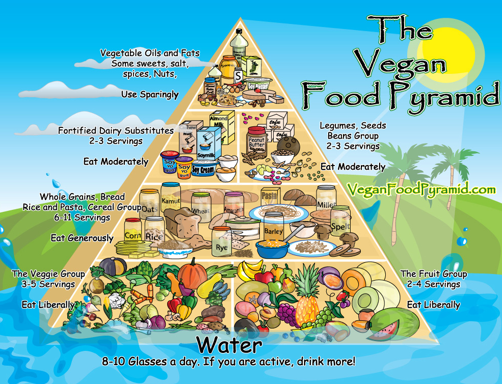 4 Food Groups Pyramid