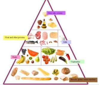 4 Food Groups Pyramid