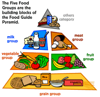 5 Food Groups For Kids