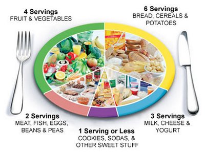 7 Food Groups Pyramid