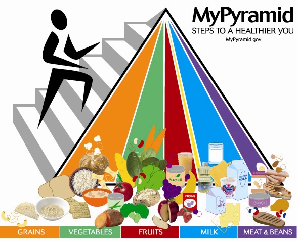 7 Food Groups Pyramid