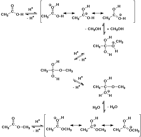 Acid Catalyzed Esterification Mechanism