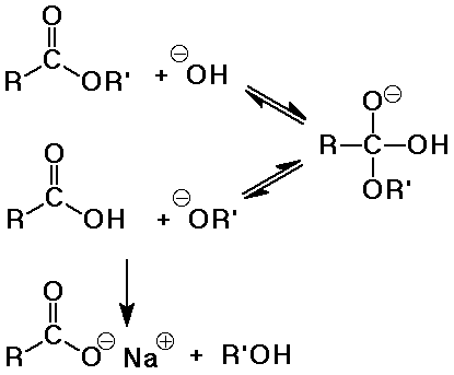 Acid Catalyzed Esterification Mechanism