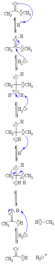 Acid Catalyzed Esterification Mechanism