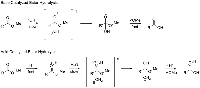 Acid Catalyzed Esterification Mechanism