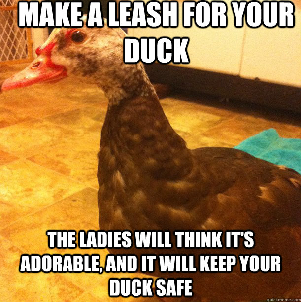 Actual Advice Duck