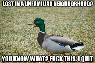 Actual Advice Duck