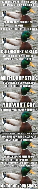 Actual Advice Duck Meme