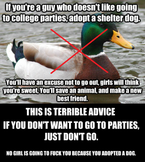 Actual Advice Mallard Meme