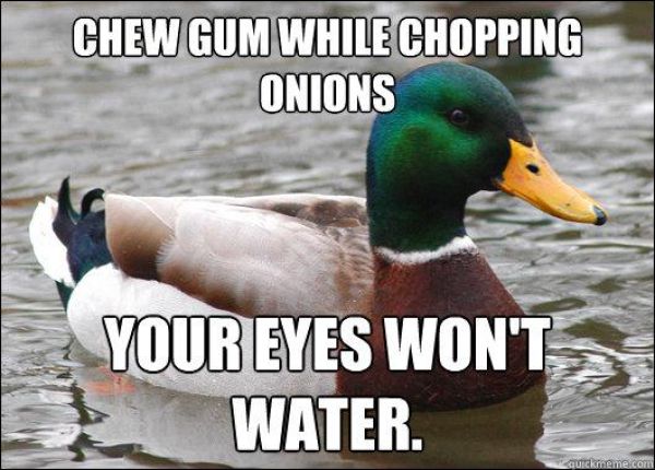 Actual Advice Mallard Meme