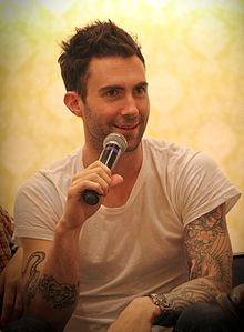 Adam Levine Brother Michael Gay