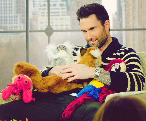 Adam Levine Maroon 5 Tumblr