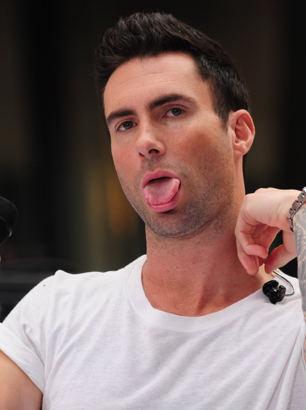 Adam Levine Tattoos Explained