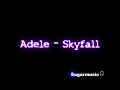 Adele Skyfall Lyrics On Screen