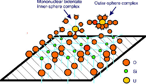 Adsorption Absorption