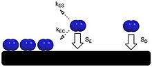 Adsorption Absorption