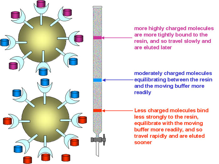 Adsorption Chromatography