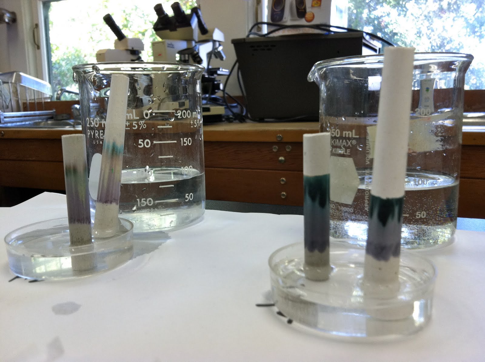 Adsorption Column Chromatography