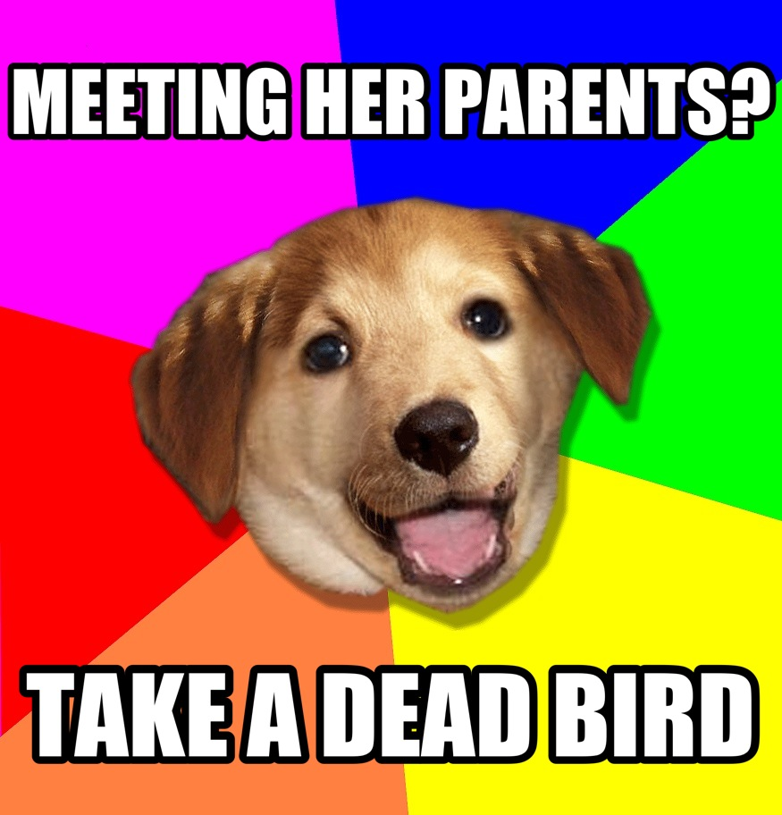 Advice Dog Memes