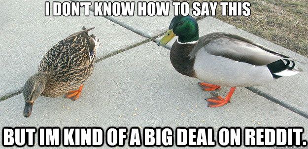 Advice Duck Know Your Meme