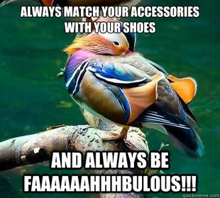 Advice Duck Meme