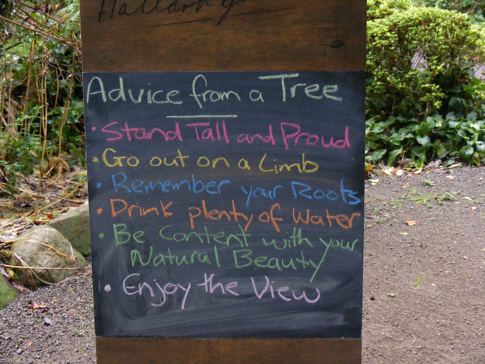 Advice From A Tree Poster