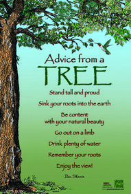 Advice From A Tree Quote