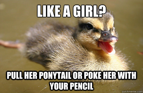 Advice Mallard Girls