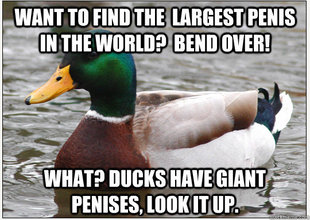 Advice Mallard Meme