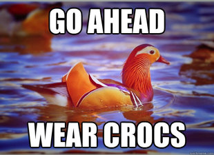 Advice Mallard Meme Generator