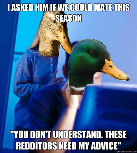 Advice Mallard Template