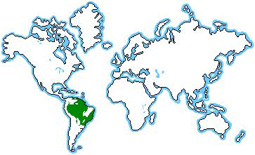 Amazon Rainforest Map