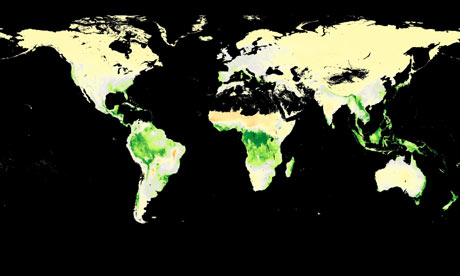 Amazon Rainforest Map