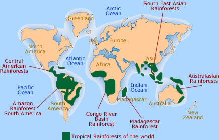 Amazon Rainforest Map