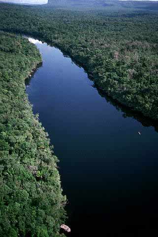 Amazon River