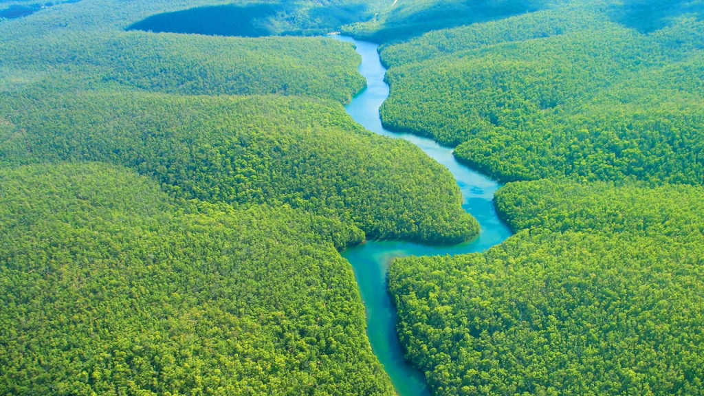 Amazon River