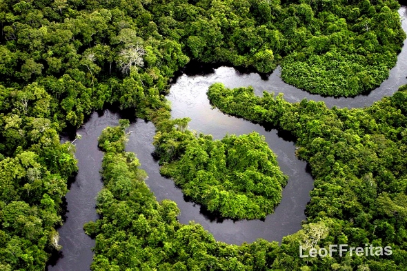 Amazon River