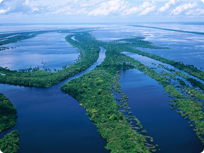 Amazon River