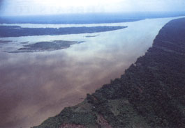 Amazon River Facts